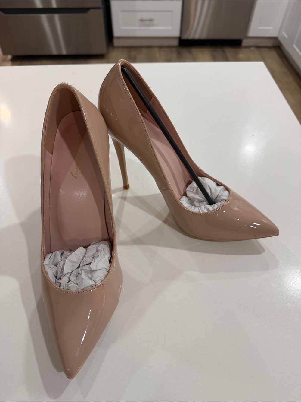 Women's Nude Patent Pointed-Toe Stiletto Heels